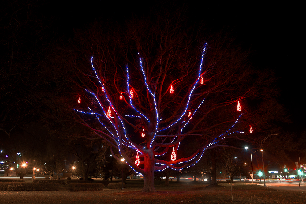 Fruit tree