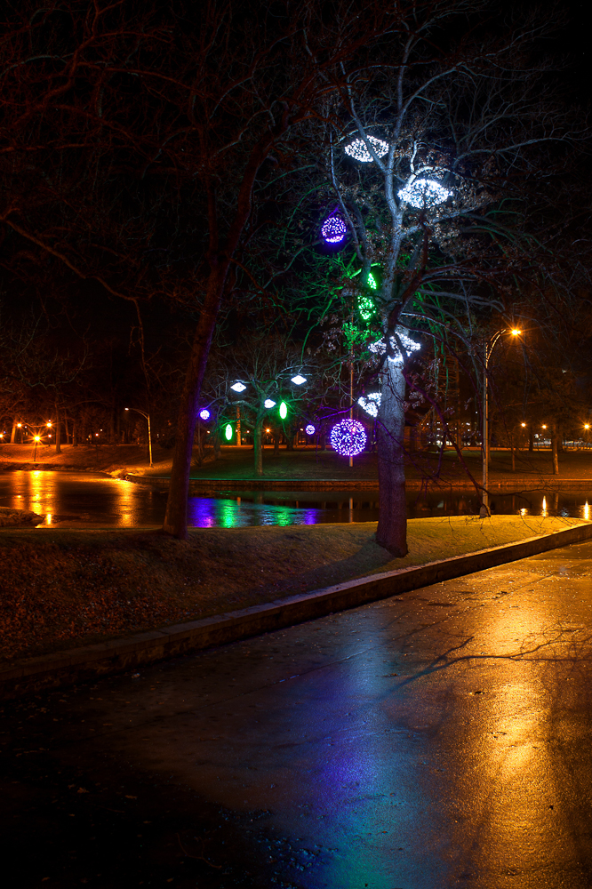 Deering Oaks lights