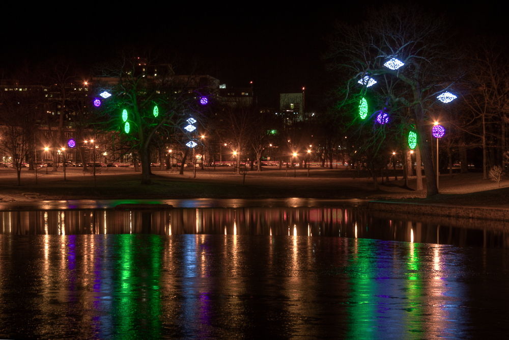 Reflections in Deering Oaks