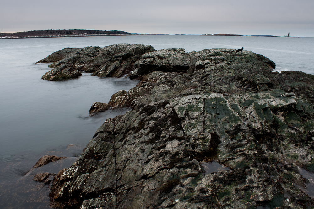 Out on the rocks